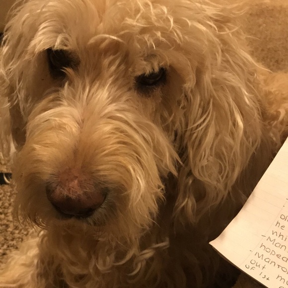 Meet your Posher, Alexis - Picture 1 of 1